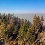 Protected: Creek Fire near Shaver Lake, CA